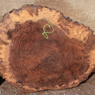 Walnut Burl